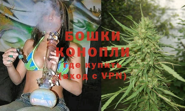 ALPHA PVP Белокуриха