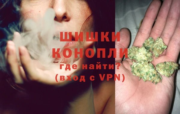 ALPHA PVP Белокуриха