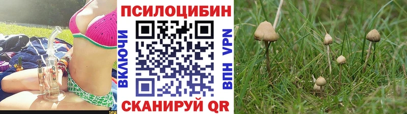 Галлюциногенные грибы MAGIC MUSHROOMS  Армавир 